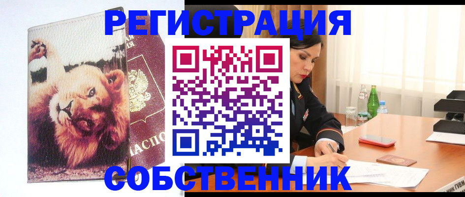 прописка от собственника в Канаше